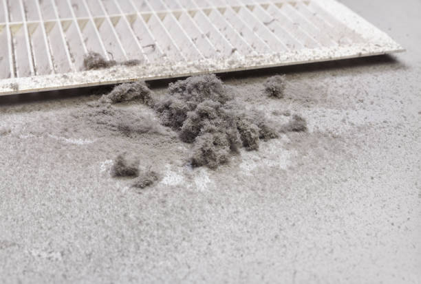 Best Professional Duct Cleaning Services  in Brunswick, MD
