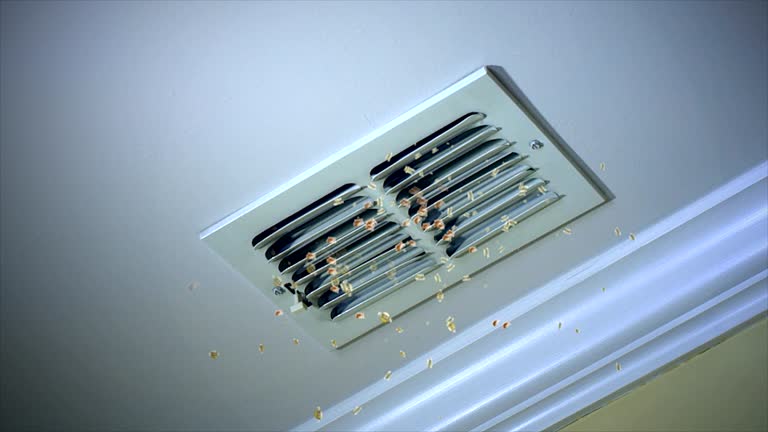 Best Best Air Duct Cleaning Company  in Brunswick, MD